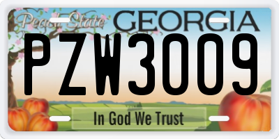 GA license plate PZW3009