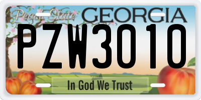 GA license plate PZW3010