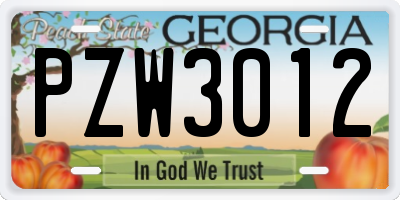 GA license plate PZW3012