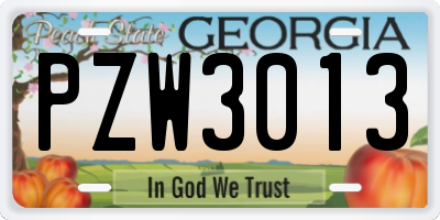 GA license plate PZW3013