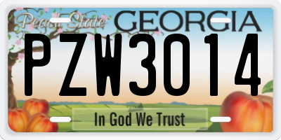 GA license plate PZW3014