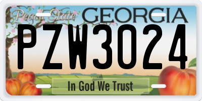 GA license plate PZW3024