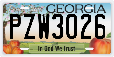 GA license plate PZW3026