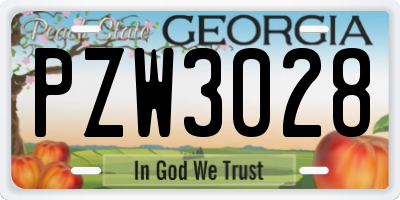 GA license plate PZW3028
