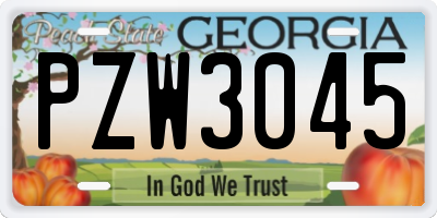 GA license plate PZW3045