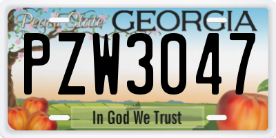 GA license plate PZW3047