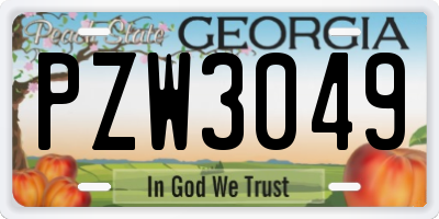 GA license plate PZW3049