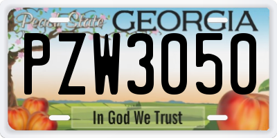 GA license plate PZW3050