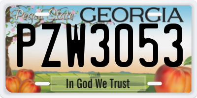 GA license plate PZW3053