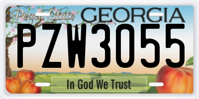 GA license plate PZW3055