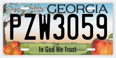 GA license plate PZW3059