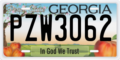 GA license plate PZW3062