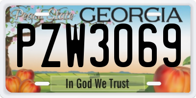 GA license plate PZW3069