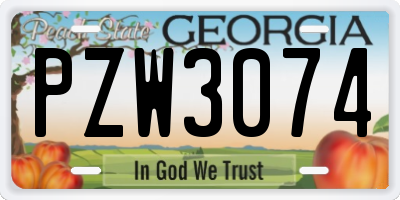 GA license plate PZW3074