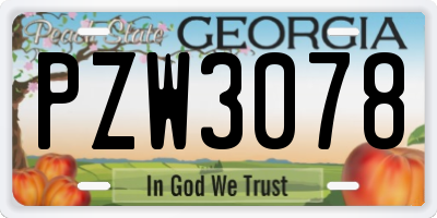 GA license plate PZW3078