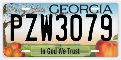 GA license plate PZW3079