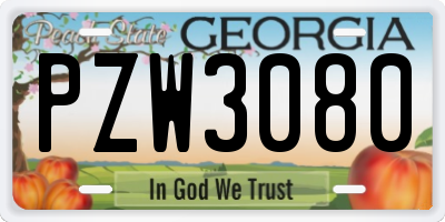 GA license plate PZW3080