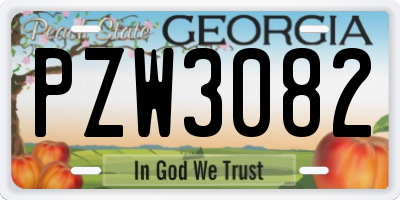 GA license plate PZW3082