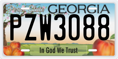 GA license plate PZW3088