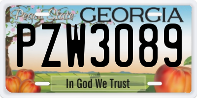 GA license plate PZW3089