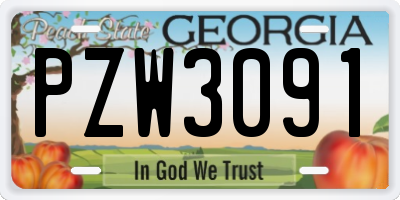 GA license plate PZW3091