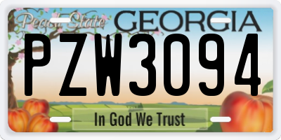GA license plate PZW3094