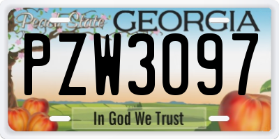 GA license plate PZW3097