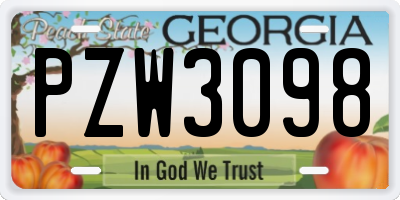 GA license plate PZW3098