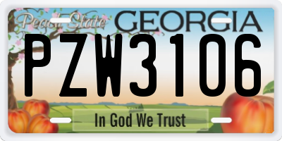 GA license plate PZW3106