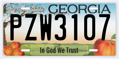 GA license plate PZW3107