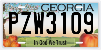 GA license plate PZW3109