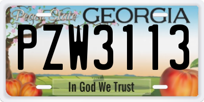 GA license plate PZW3113