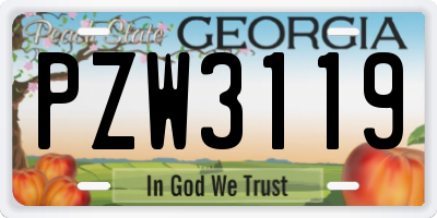 GA license plate PZW3119