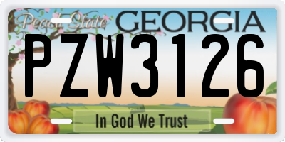 GA license plate PZW3126