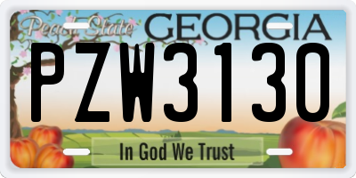 GA license plate PZW3130
