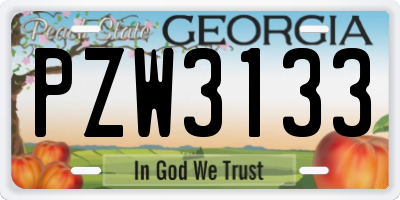 GA license plate PZW3133