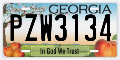 GA license plate PZW3134