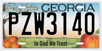GA license plate PZW3140