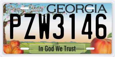 GA license plate PZW3146