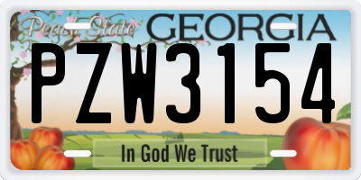 GA license plate PZW3154