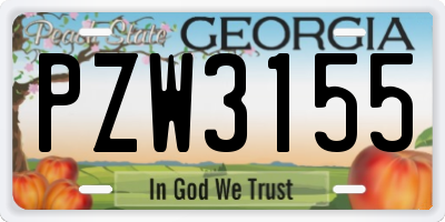 GA license plate PZW3155