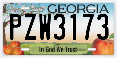 GA license plate PZW3173
