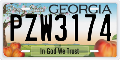 GA license plate PZW3174