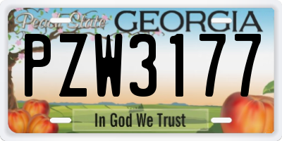 GA license plate PZW3177