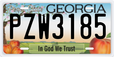 GA license plate PZW3185