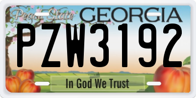 GA license plate PZW3192