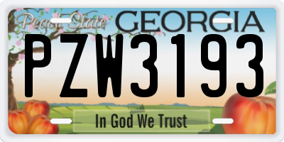 GA license plate PZW3193