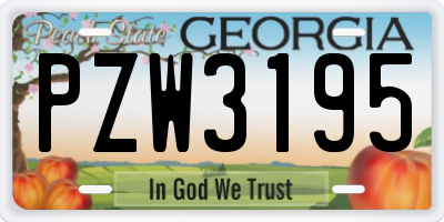 GA license plate PZW3195