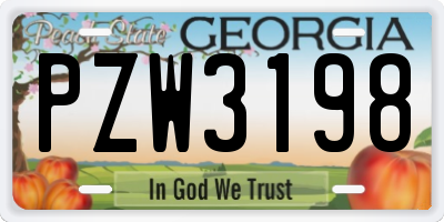GA license plate PZW3198
