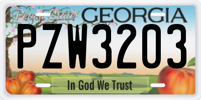 GA license plate PZW3203